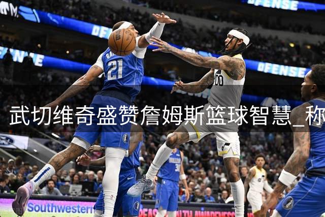 武切维奇盛赞詹姆斯篮球智慧 称其仍具重要影响力