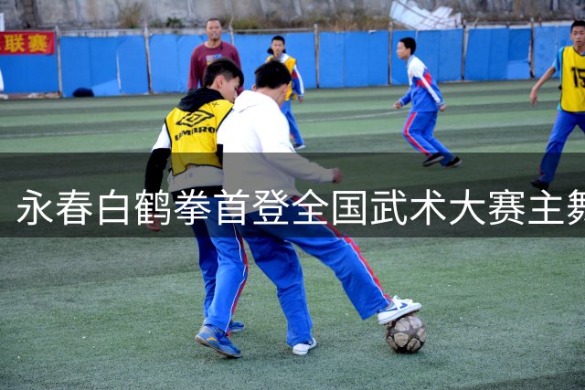 永春白鹤拳首登全国武术大赛主舞台 千年拳法引全球武林高手朝圣