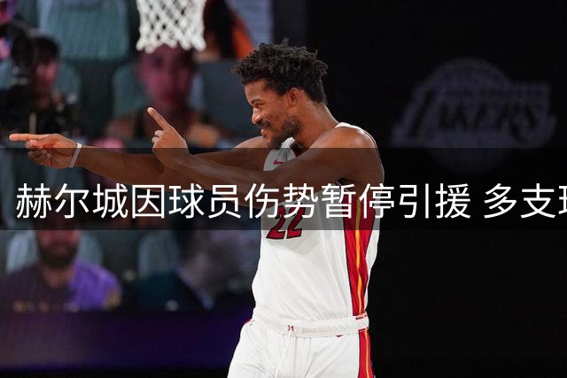 赫尔城因球员伤势暂停引援 多支球队伺机争夺埃弗顿中场