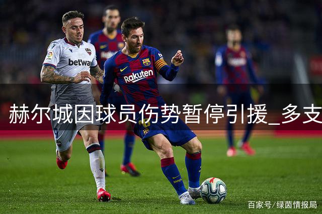 赫尔城因球员伤势暂停引援 多支球队伺机争夺埃弗顿中场